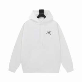 Picture of Arcteryx Hoodies _SKUArcteryxXS-Ltltx04642